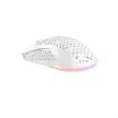 Egér, vezetékes, gaming, RGB, AVAX "LW01", fehér 1 db