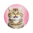 Matrica, tépőzáras, Classy Plus táskához, BELMIL "Cats", cica 3 db