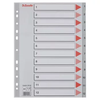 Regiszter, műanyag, A4, 1-12, ESSELTE, szürke