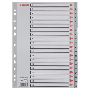 Regiszter, műanyag, A4, 1-20, ESSELTE, szürke