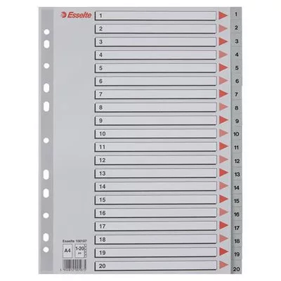 Regiszter, műanyag, A4, 1-20, ESSELTE, szürke