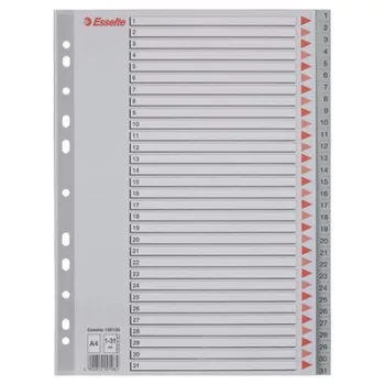 Regiszter, műanyag, A4, 1-31, ESSELTE, szürke