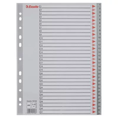 Regiszter, műanyag, A4, 1-31, ESSELTE, szürke