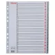 Regiszter, műanyag, A4 Maxi, 1-31, ESSELTE, szürke