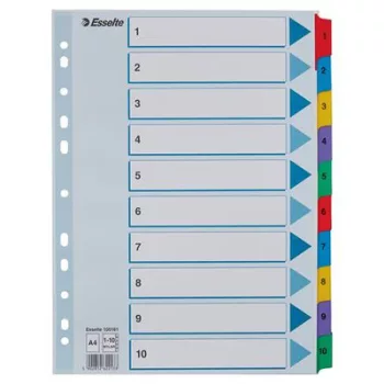 Regiszter, karton, A4, 1-10, ESSELTE "Mylar"