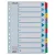Regiszter, karton, A4, 1-10, ESSELTE "Mylar"