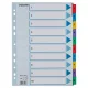 Regiszter, karton, A4, 1-10, ESSELTE "Mylar"