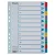 Regiszter, karton, A4, 1-12, ESSELTE "Mylar"