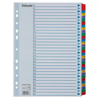 Regiszter, karton, A4, 1-31, ESSELTE "Mylar"