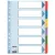 Regiszter, laminált karton, A4, 6 részes, ESSELTE "Mylar"
