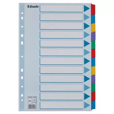 Regiszter, laminált karton, A4, 12 részes, ESSELTE "Mylar" 1 db