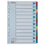 Regiszter, laminált karton, A4, 12 részes, ESSELTE "Mylar" 1 db