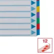 Regiszter, laminált karton, A4, 12 részes, ESSELTE "Mylar" 1 db