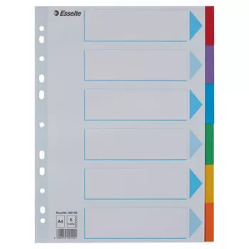   Regiszter, karton, A4, 6 részes, írható előlappal, ESSELTE "Standard", színes