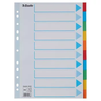   Regiszter, karton, A4, 10 részes, írható előlappal, ESSELTE "Standard", színes