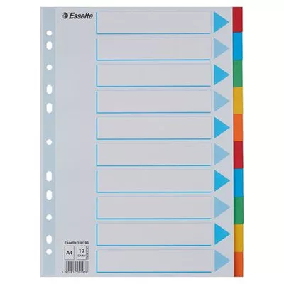 Regiszter, karton, A4, 10 részes, írható előlappal, ESSELTE "Standard", színes