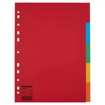   Regiszter, karton, A4, 5 részes, ESSELTE "Economy", színes