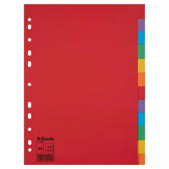   Regiszter, karton, A4, 12 részes, ESSELTE "Economy", színes
