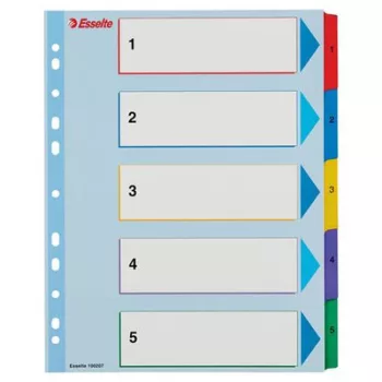   Regiszter, laminált karton, A4 maxi, 1-5, újraírható, ESSELTE