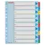 Regiszter, laminált karton, A4 Maxi, 1-10, újraírható, ESSELTE
