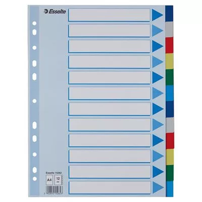 Regiszter, műanyag, A4, 12 részes, ESSELTE 1 db