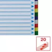 Regiszter, műanyag, A4, 20 részes, ESSELTE