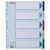 Regiszter, műanyag, A4 Maxi, 5 részes, ESSELTE