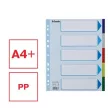 Regiszter, műanyag, A4 Maxi, 5 részes, ESSELTE