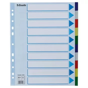 Regiszter, műanyag, A4 Maxi, 10 részes, ESSELTE
