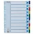 Regiszter, műanyag, A4 Maxi, 10 részes, ESSELTE