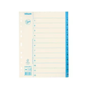 Regiszter, karton, A4, 1-12, ESSELTE, fehér