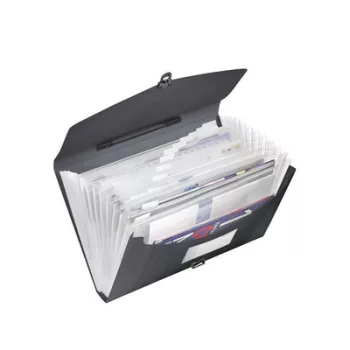   Harmonikatáska, A4, PP, 12 rekeszes, ESSELTE "Vivida", fekete