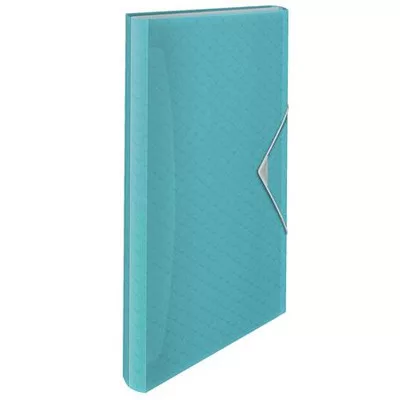 Harmonikamappa, A4, PP, 6 rekeszes, ESSELTE "Colour'Breeze", kék 1 db