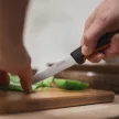 Hámozókés, 11 cm, FISKARS "Functional Form GRS"