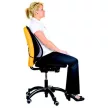Háttámasz, FELLOWES "Professional Series™ Mesh" 1 db