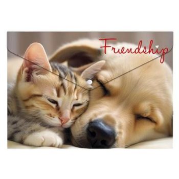   Irattartó tasak, A4 PP, patentos, 180 mikron, PANTA PLAST "Friendship"