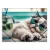 Gumis mappa, 15 mm, PP, A4, PANTA PLAST "Chillout cat" 1 db