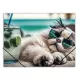 Gumis mappa, 15 mm, PP, A4, PANTA PLAST "Chillout cat" 1 db