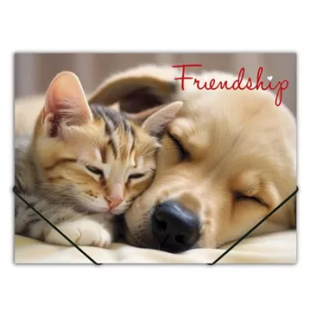   Gumis mappa, 15 mm, PP, A4, PANTA PLAST "Friendship" 1 db