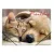 Gumis mappa, 15 mm, PP, A4, PANTA PLAST "Friendship" 1 db