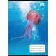 Füzet, tűzött, A5, kockás, 32 lap, COOL BY VICTORIA "Ocean World", "27-32" 1 db