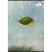Füzet, tűzött, A4, sima, 80 lap, COOL BY VICTORIA "Green Calm" 1 db
