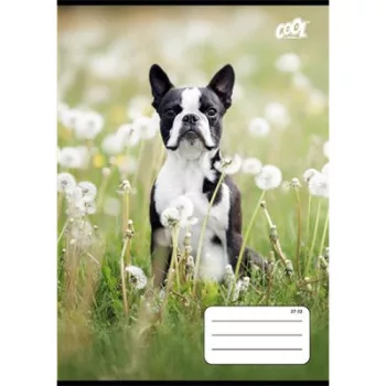   Füzet, tűzött, A5, kockás, 32 lap, COOL BY VICTORIA "B&W dogs", "27-32" 1 db