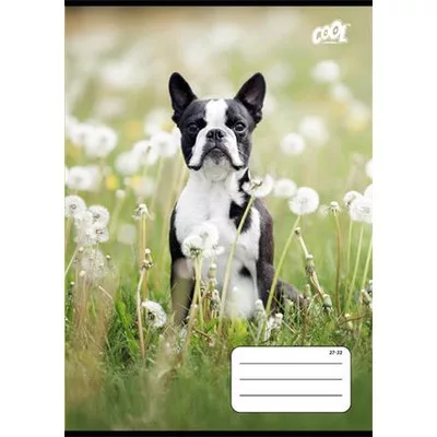 Füzet, tűzött, A5, kockás, 32 lap, COOL BY VICTORIA "B&W dogs", "27-32" 1 db