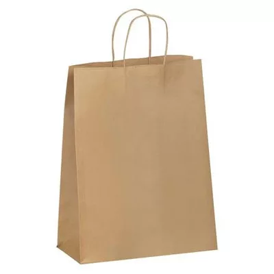 Ajándéktasak, 22 cm x 10 cm x 30,5 cm, VIQUEL, barna (50 db/csomag)