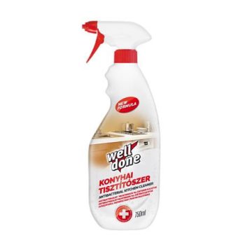   Konyhai fertőtlenítő hatású tisztítószer, szórófejes, 750 ml, WELL DONE