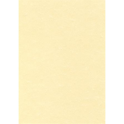 Előnyomott papír, A4, 95 g, pergamen hatású, APLI, pezsgő