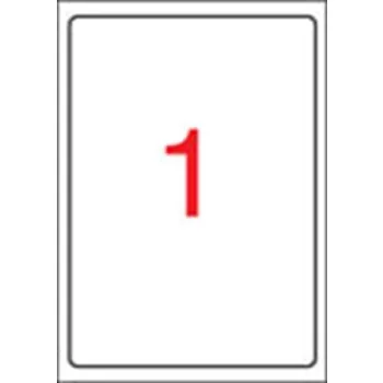   Etikett, tintasugaras nyomtatóhoz, 199,6 x 289,1 mm, fényes, fotóminőségű, APLI, 10 etikett/csomag