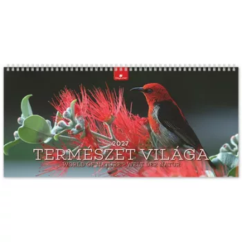   Naptár, asztali, álló, DAYLINER "Természet világa" 1 db