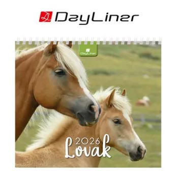 Naptár, asztali, álló, DAYLINER "Lovak" 1 db